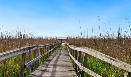 Photo #10 of 681 Grand Oak Dr., Georgetown, SC 1.9 acres