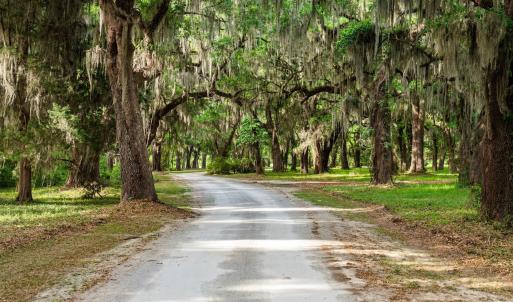 Photo #8 of 681 Grand Oak Dr., Georgetown, SC 1.9 acres