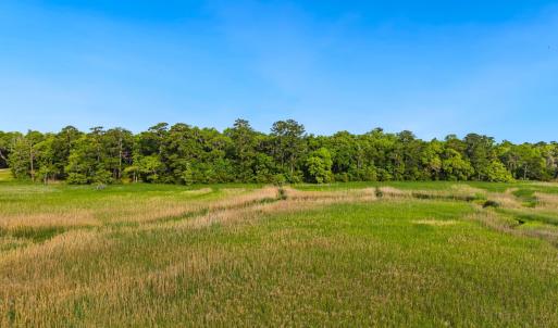 Photo #21 of 681 Grand Oak Dr., Georgetown, SC 1.9 acres