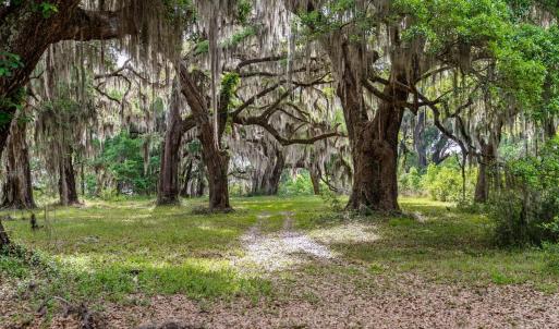 Photo #9 of 681 Grand Oak Dr., Georgetown, SC 1.9 acres