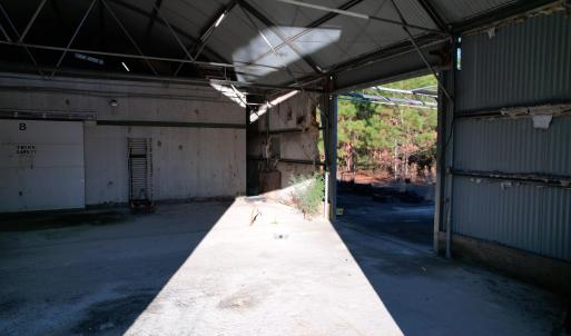 Photo #12 of 2422 Pennyroyal Rd., Georgetown, SC 46.8 acres