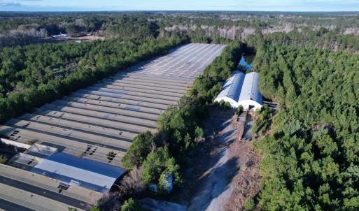 Photo #7 of 2422 Pennyroyal Rd., Georgetown, SC 46.8 acres