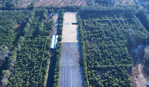 Photo #13 of 2422 Pennyroyal Rd., Georgetown, SC 46.8 acres