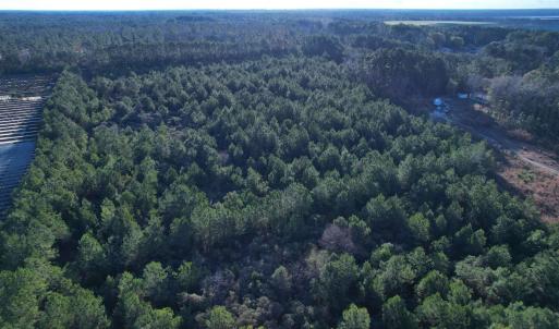 Photo #2 of 2422 Pennyroyal Rd., Georgetown, SC 46.8 acres