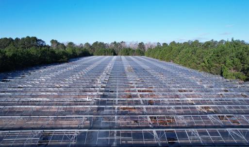 Photo #20 of 2422 Pennyroyal Rd., Georgetown, SC 46.8 acres