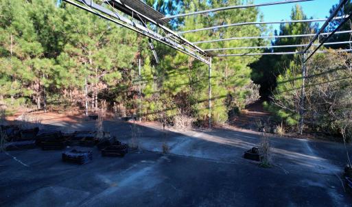 Photo #11 of 2386 Pennyroyal Rd., Georgetown, SC 46.8 acres