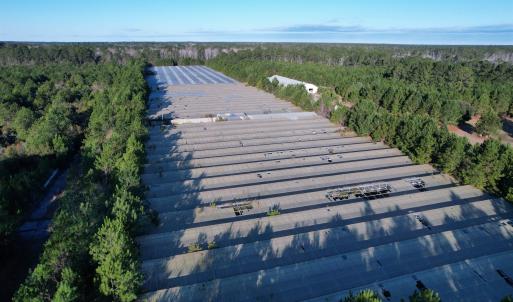 Photo #8 of 2386 Pennyroyal Rd., Georgetown, SC 46.8 acres
