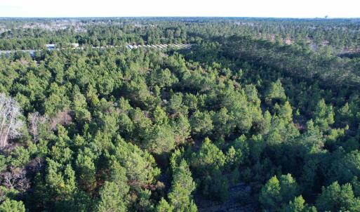 Photo #16 of 2386 Pennyroyal Rd., Georgetown, SC 46.8 acres