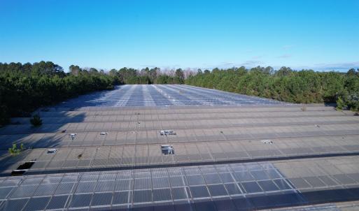 Photo #19 of 2386 Pennyroyal Rd., Georgetown, SC 46.8 acres