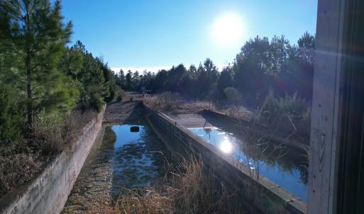 Photo #10 of 2386 Pennyroyal Rd., Georgetown, SC 46.8 acres