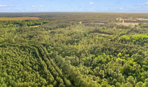 Photo #5 of TBD Mount Olive Church Rd., Loris, SC 15.4 acres