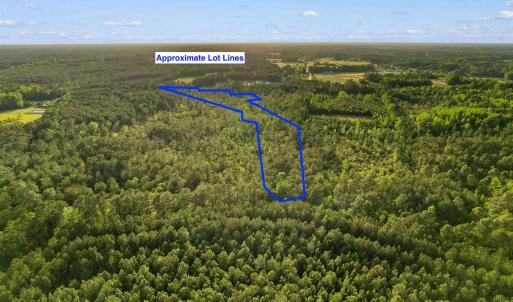 Photo #3 of TBD Mount Olive Church Rd., Loris, SC 15.4 acres