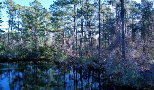 Photo #12 of 22 Lots - Goelet Ct., Georgetown, SC 7.7 acres