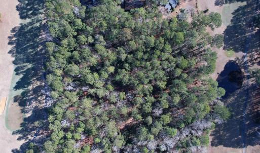 Photo #18 of 22 Lots - Goelet Ct., Georgetown, SC 7.7 acres