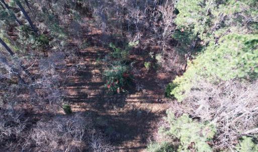 Photo #13 of 22 Lots - Goelet Ct., Georgetown, SC 7.7 acres