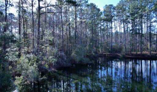 Photo #11 of 22 Lots - Goelet Ct., Georgetown, SC 7.7 acres