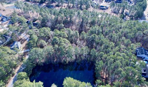 Photo #10 of 22 Lots - Goelet Ct., Georgetown, SC 7.7 acres
