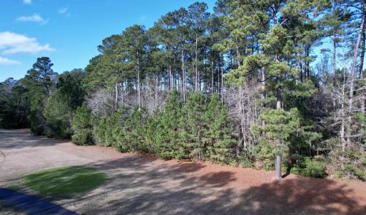 Photo #9 of 22 Lots - Goelet Ct., Georgetown, SC 7.7 acres