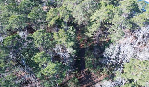 Photo #22 of 22 Lots - Goelet Ct., Georgetown, SC 7.7 acres