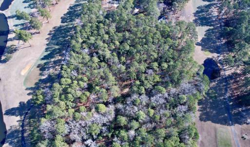 Photo #19 of 22 Lots - Goelet Ct., Georgetown, SC 7.7 acres