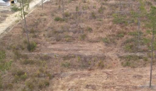 Photo #1 of 622 Hulls Island Rd., Loris, SC 6.0 acres