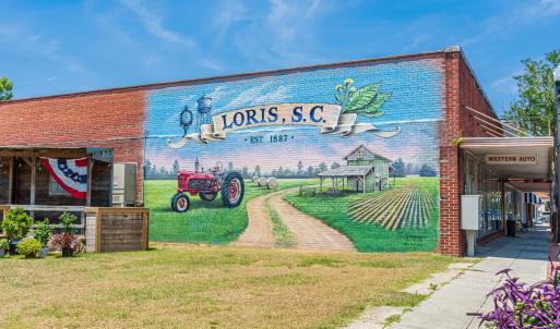 Photo #15 of 622 Hulls Island Rd., Loris, SC 6.0 acres