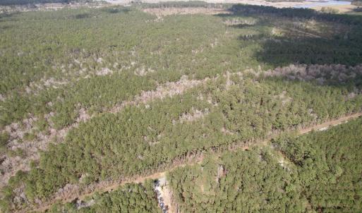 Photo #4 of Tract C - TBD Pennyroyal Rd., Georgetown, SC 5.5 acres