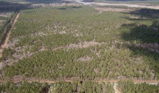 Photo #5 of Tract C - TBD Pennyroyal Rd., Georgetown, SC 5.5 acres