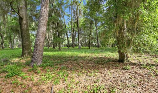 Photo #4 of 116 Sandy Ridge Loop, Pawleys Island, SC 1.8 acres