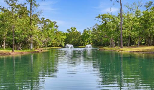 Photo #9 of 116 Sandy Ridge Loop, Pawleys Island, SC 1.8 acres