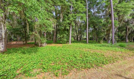 Photo #3 of 116 Sandy Ridge Loop, Pawleys Island, SC 1.8 acres