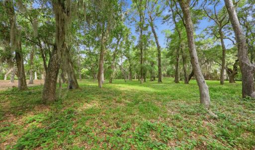 Photo #5 of 116 Sandy Ridge Loop, Pawleys Island, SC 1.8 acres