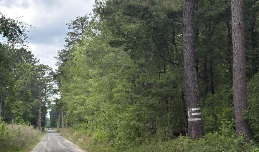 Photo #2 of 452 Tram Rd., Cades, SC 71.9 acres