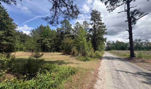 Photo #9 of 452 Tram Rd., Cades, SC 71.9 acres