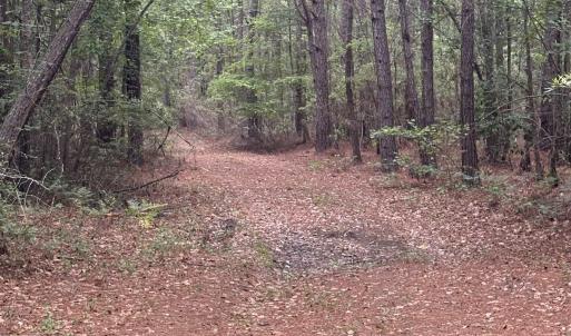 Photo #2 of 452 Tram Rd., Cades, SC 71.9 acres