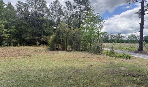 Photo #7 of 452 Tram Rd., Cades, SC 71.9 acres