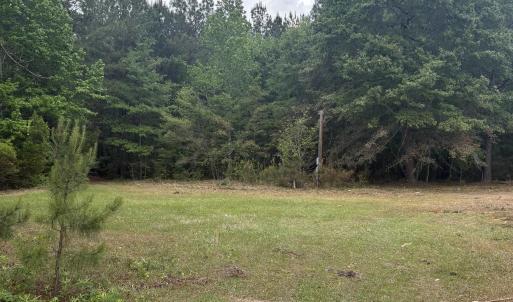 Photo #10 of 452 Tram Rd., Cades, SC 71.9 acres