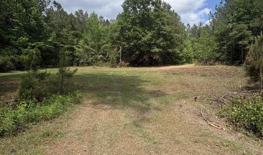 Photo #8 of 452 Tram Rd., Cades, SC 71.9 acres