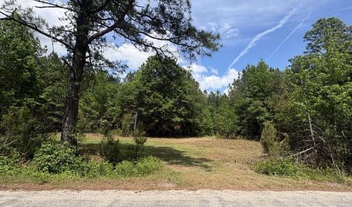 Photo #11 of 452 Tram Rd., Cades, SC 71.9 acres