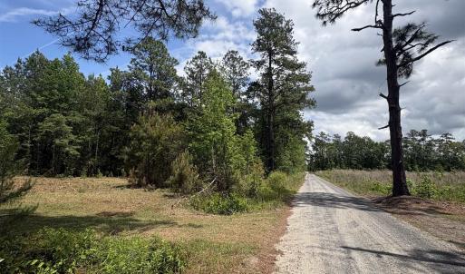 Photo #4 of 452 Tram Rd., Cades, SC 71.9 acres
