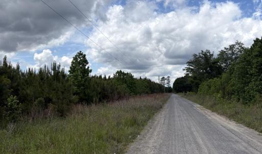 Photo #3 of 452 Tram Rd., Cades, SC 71.9 acres
