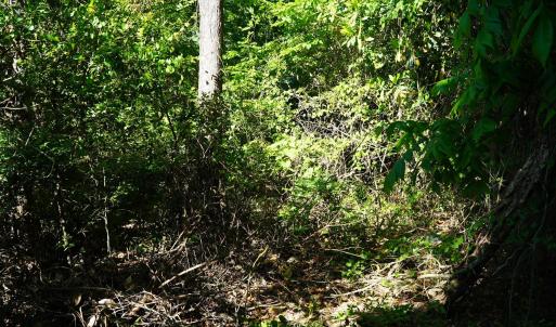 Photo #24 of 2304 Highmarket St., Georgetown, SC 1.8 acres