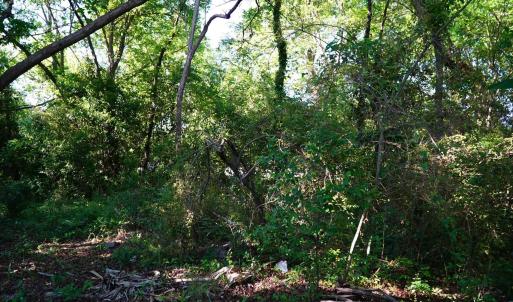 Photo #17 of 2304 Highmarket St., Georgetown, SC 1.8 acres