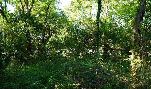 Photo #18 of 2304 Highmarket St., Georgetown, SC 1.8 acres
