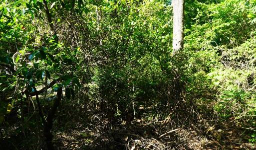 Photo #23 of 2304 Highmarket St., Georgetown, SC 1.8 acres