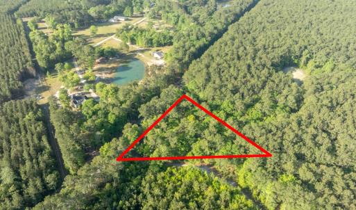 Photo #21 of Etheridge Dr., Andrews, SC 1.2 acres