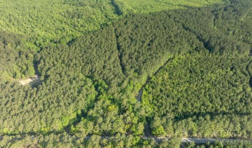Photo #14 of Etheridge Dr., Andrews, SC 1.2 acres