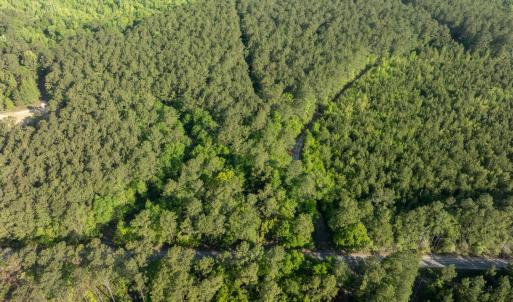 Photo #6 of Etheridge Dr., Andrews, SC 1.2 acres