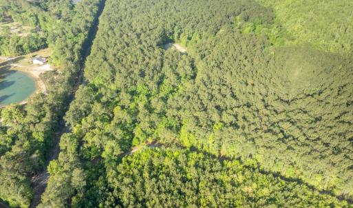 Photo #4 of Etheridge Dr., Andrews, SC 1.2 acres