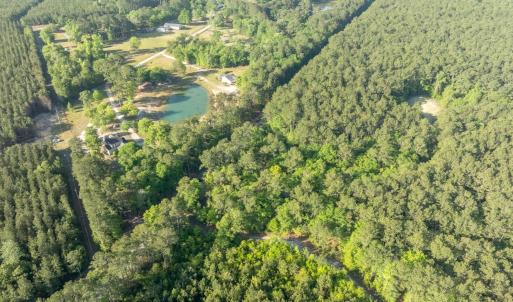 Photo #2 of Etheridge Dr., Andrews, SC 1.2 acres